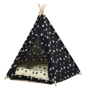 BED TENT TEEPEE STARS HRES